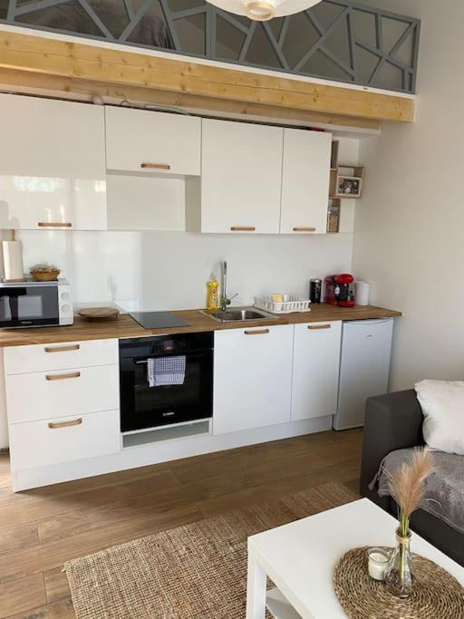 Logement Avec Mezzanine Tremblay-en-France Экстерьер фото